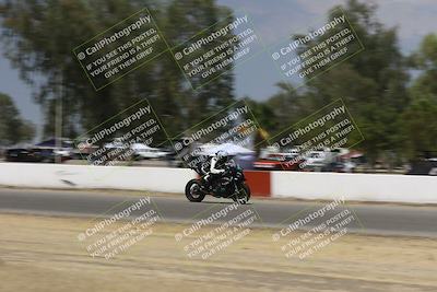 media/Sep-07-2024-Pacific Track Time (Sat) [[9bb89f5e83]]/C group/Front Straight 1240pm/